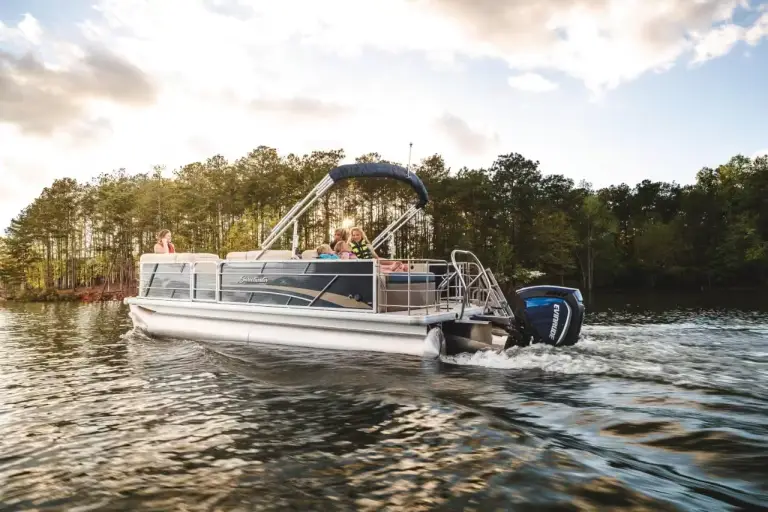 evinrude-pontoon evinrude-pontoon